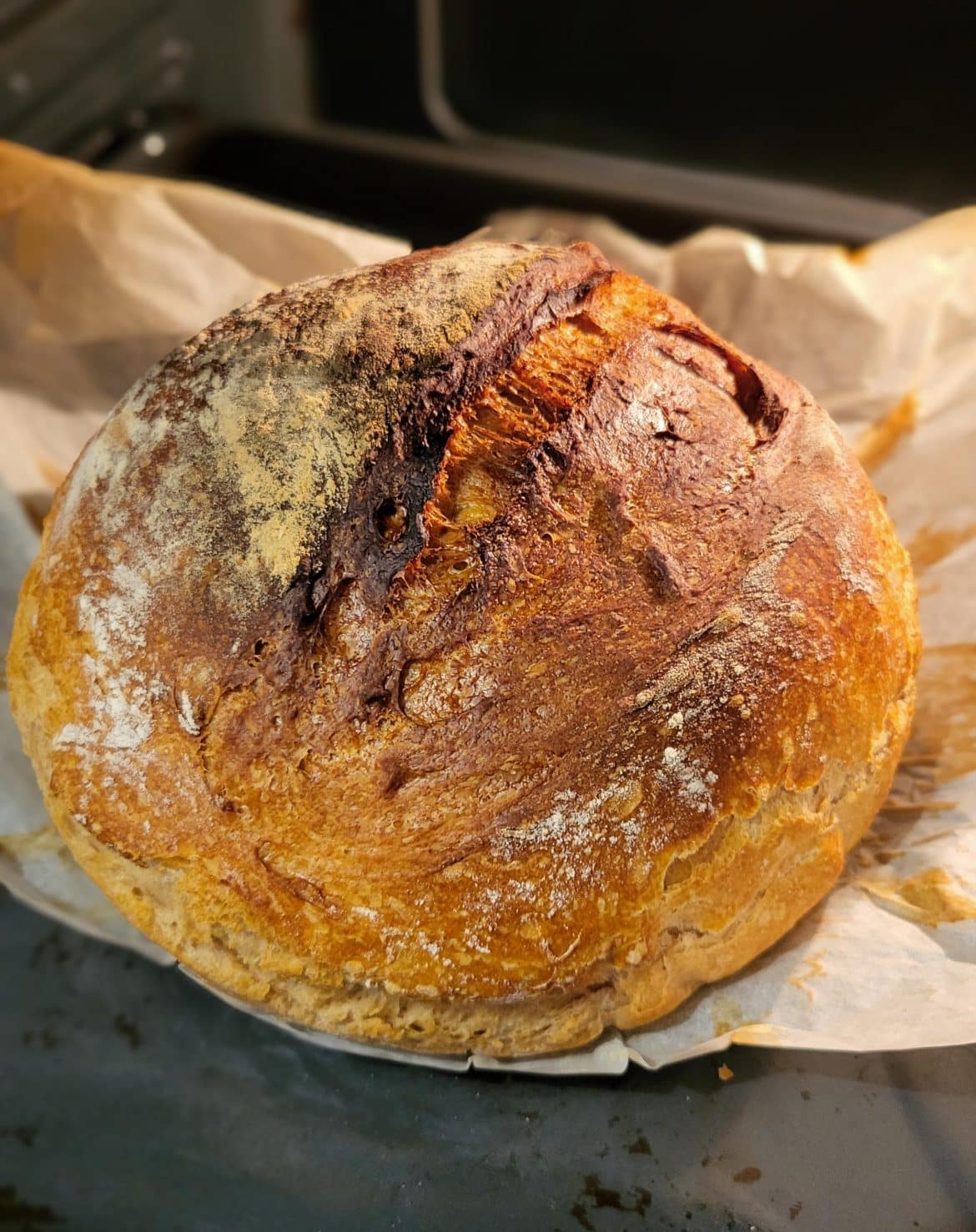 paine cu faina integrala paine cu faina integrala